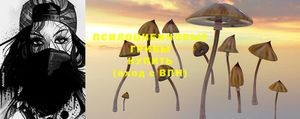 бошки Алексеевка