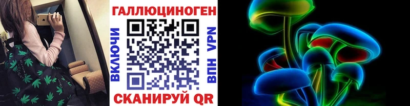 Псилоцибиновые грибы GOLDEN TEACHER Ленинск-Кузнецкий